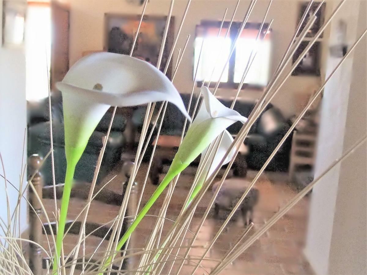 Villa Maria Yecla Bagian luar foto